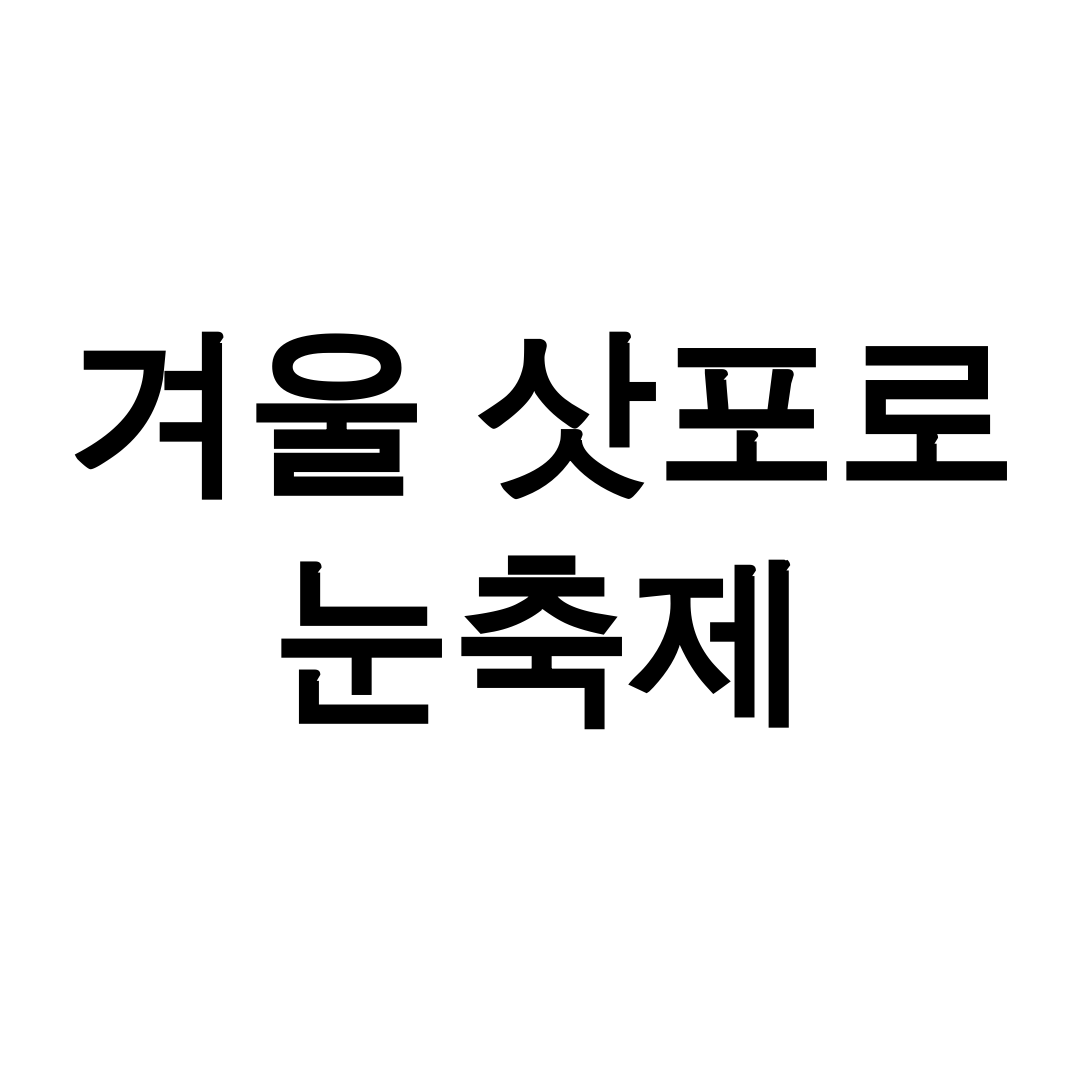 겨울 삿포로 눈축제