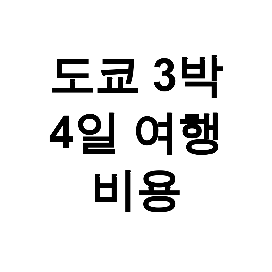 도쿄 3박 4일 여행 비용