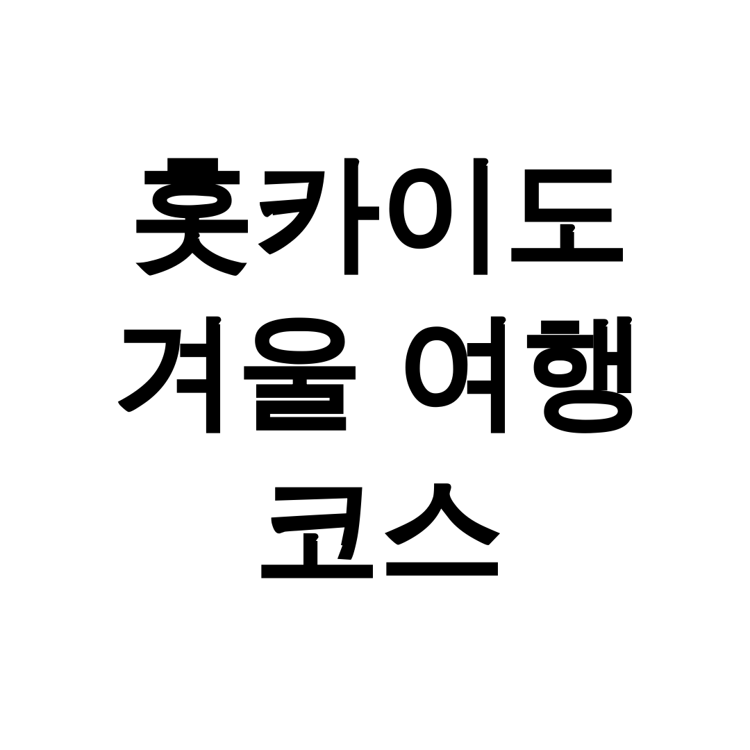 홋카이도 겨울 여행 코스
