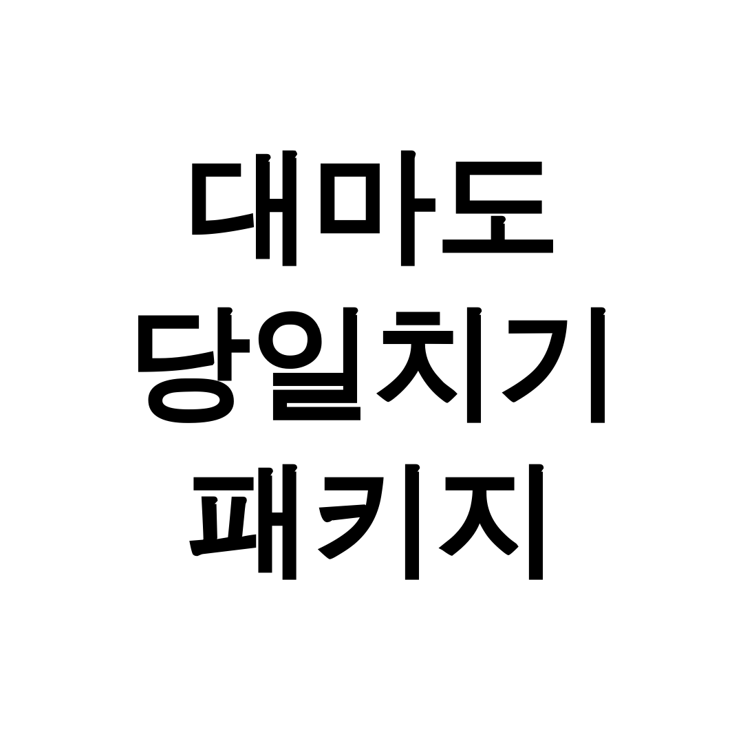 대마도 당일치기 패키지