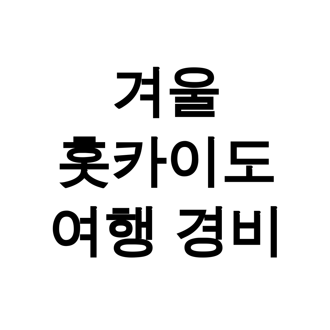 겨울 홋카이도 여행 경비