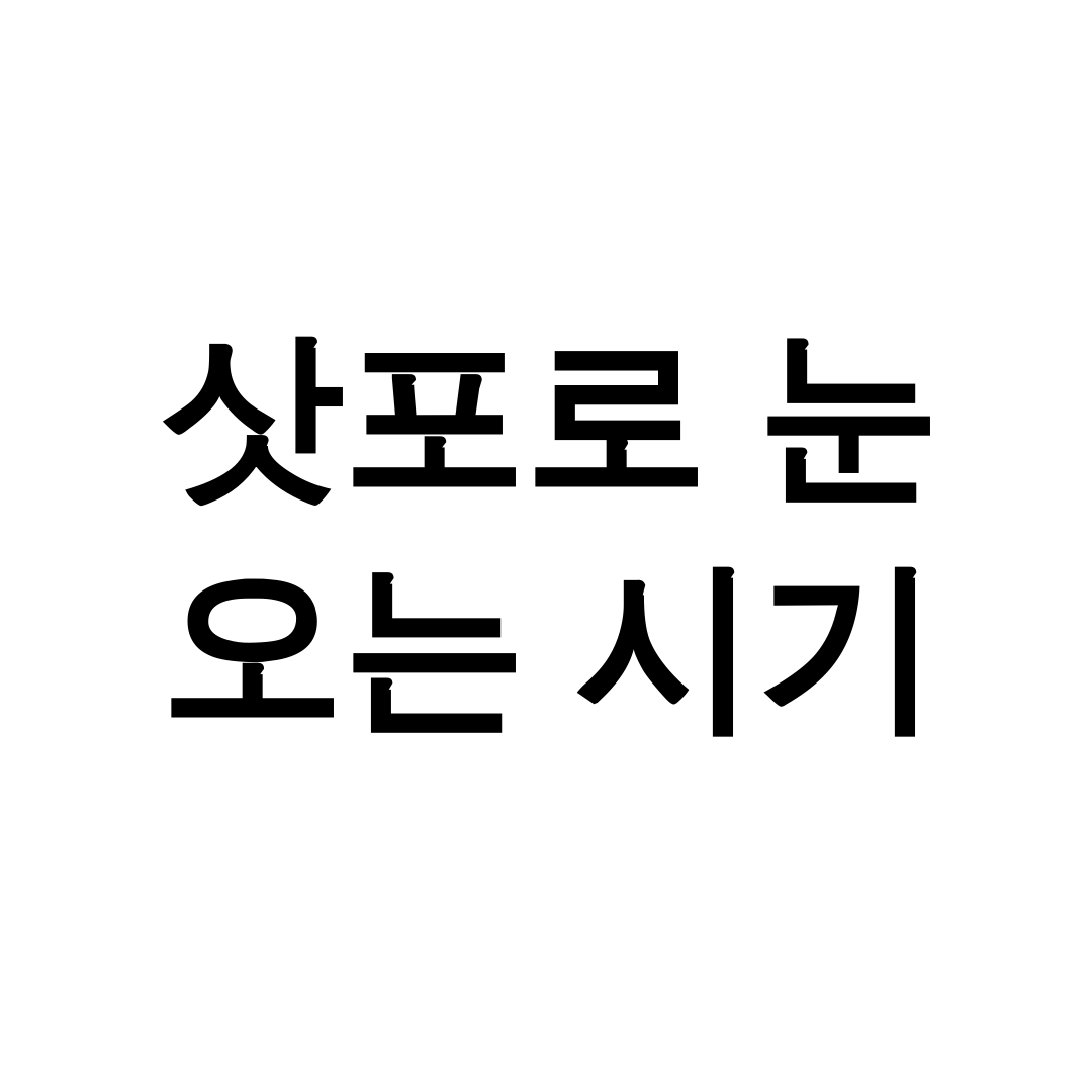 삿포로 눈 오는 시기
