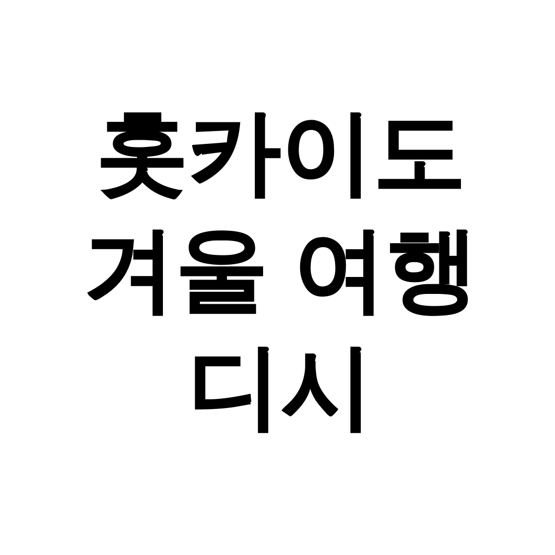 홋카이도 겨울 여행 디시
