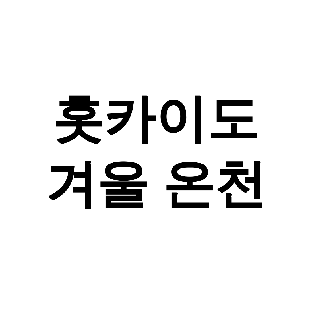 홋카이도 겨울 온천